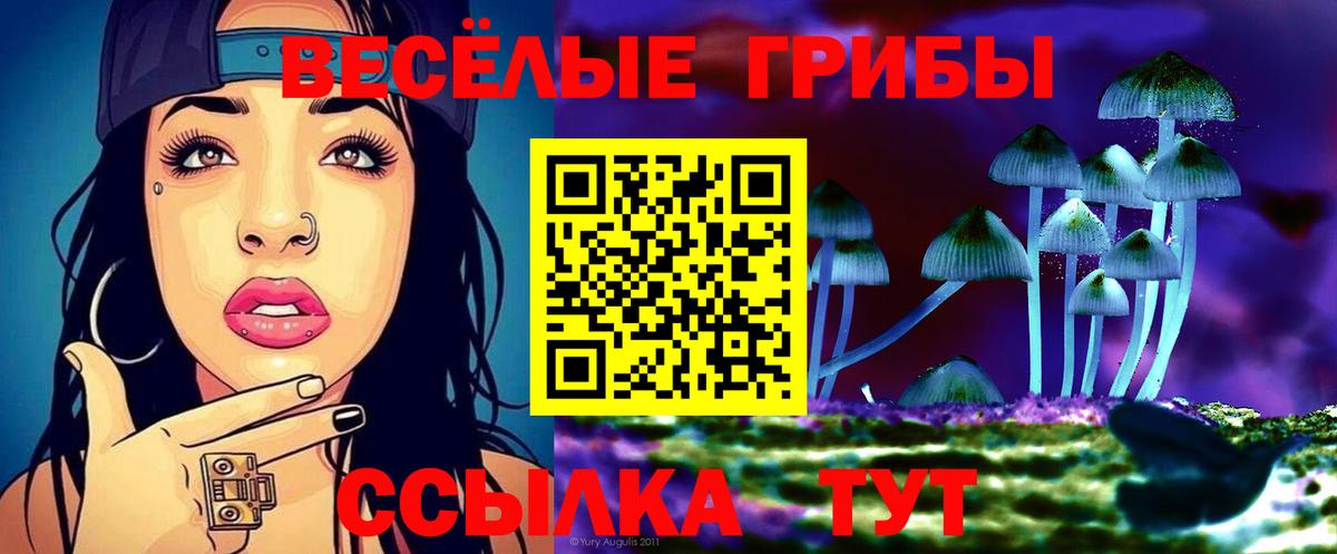 Тула  Псилоцибиновые грибы Psilocybine cubensis  Вход с VPN 