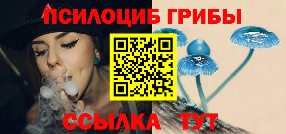 Галлюциногенные грибы Psilocybine cubensis Тула